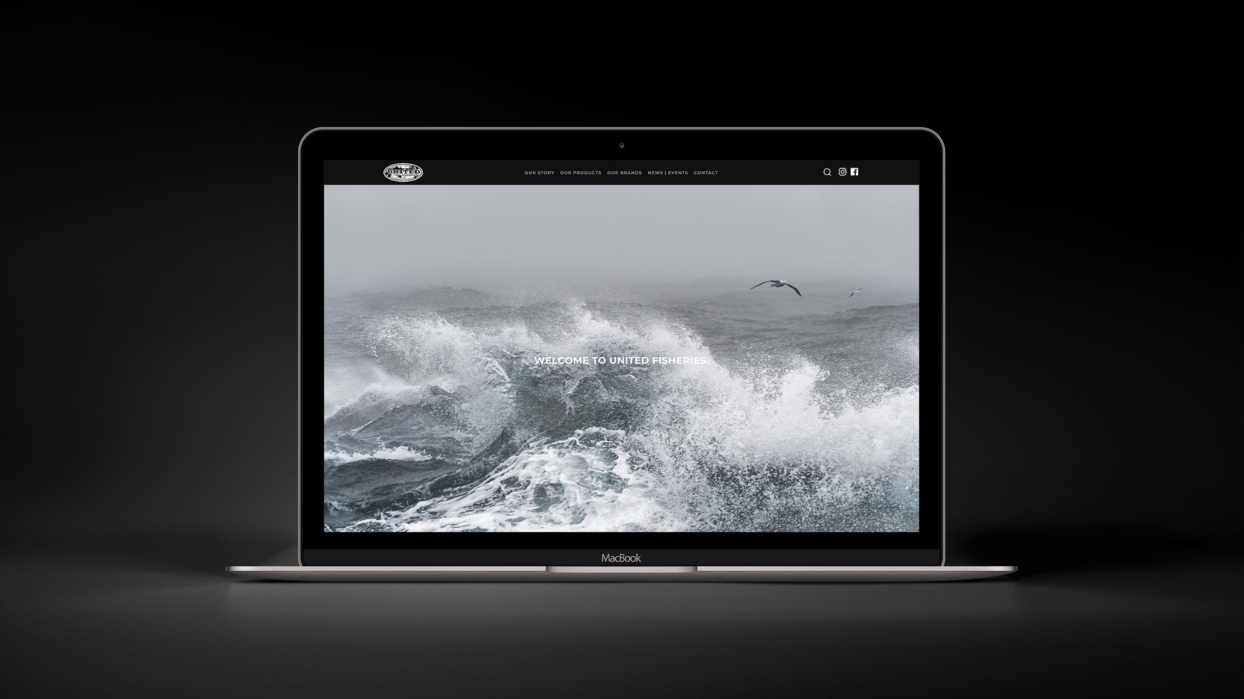 T&T-Web---Case-Study---United-Website