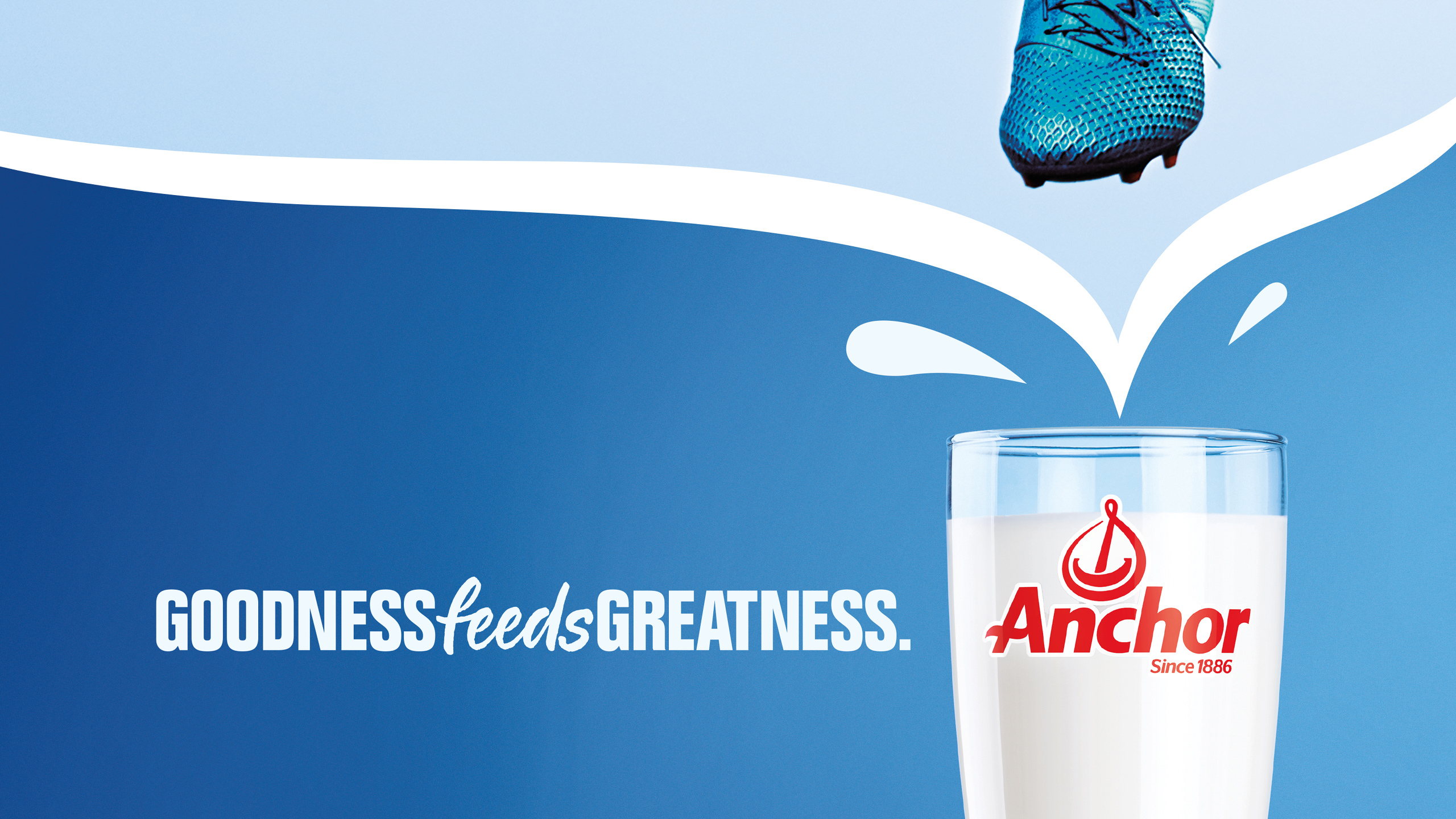 Tried-and-True-Design-Auckland-Fonterra-Anchor-Nutritional-Branding-Lockup