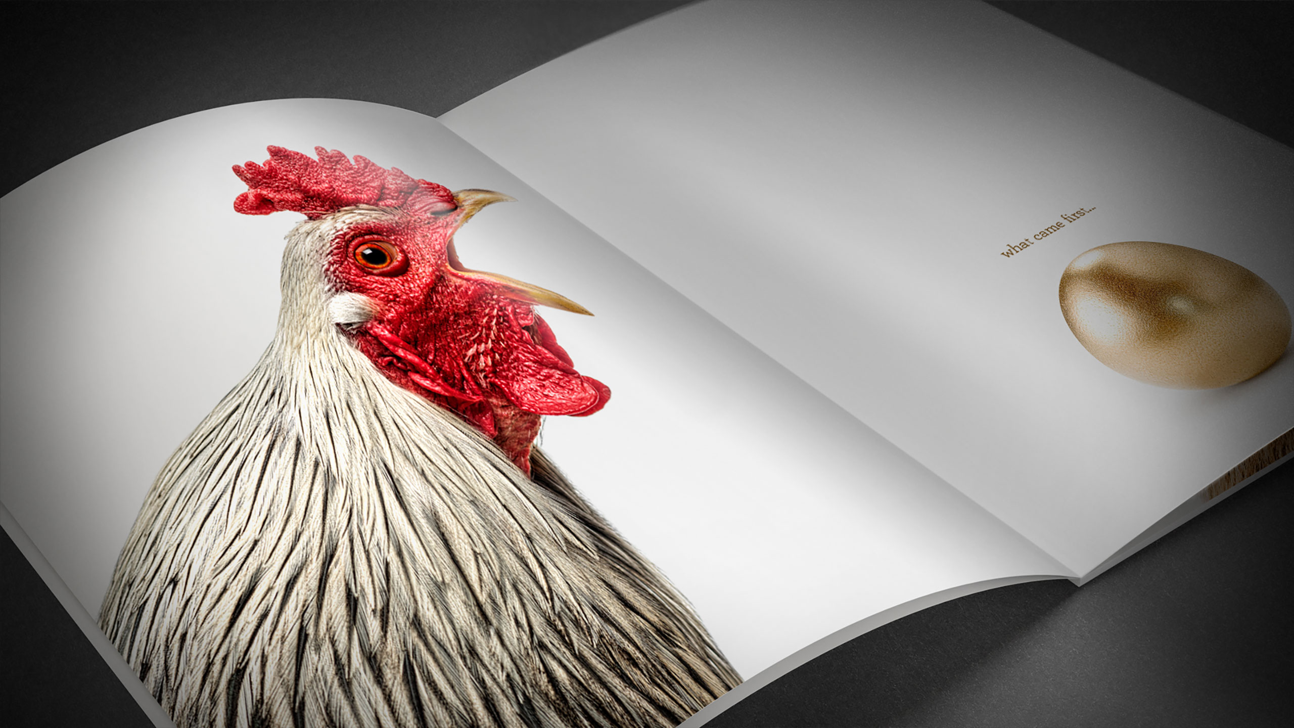 Numberworx brochure with hen and golden egg images
