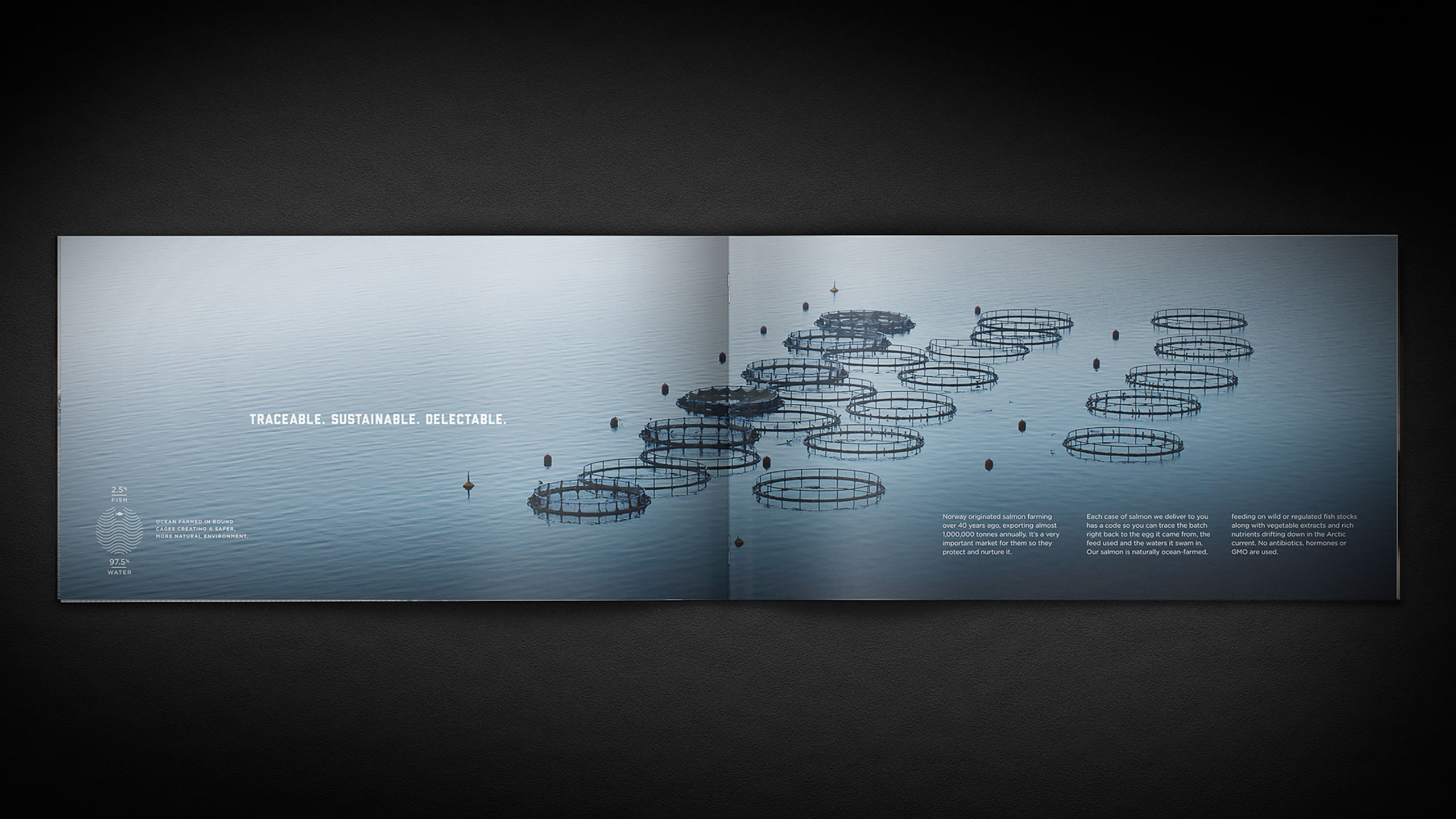 Tried-and-True-Design-Auckland-United-Fish-Co-rebrand-Brochure-4