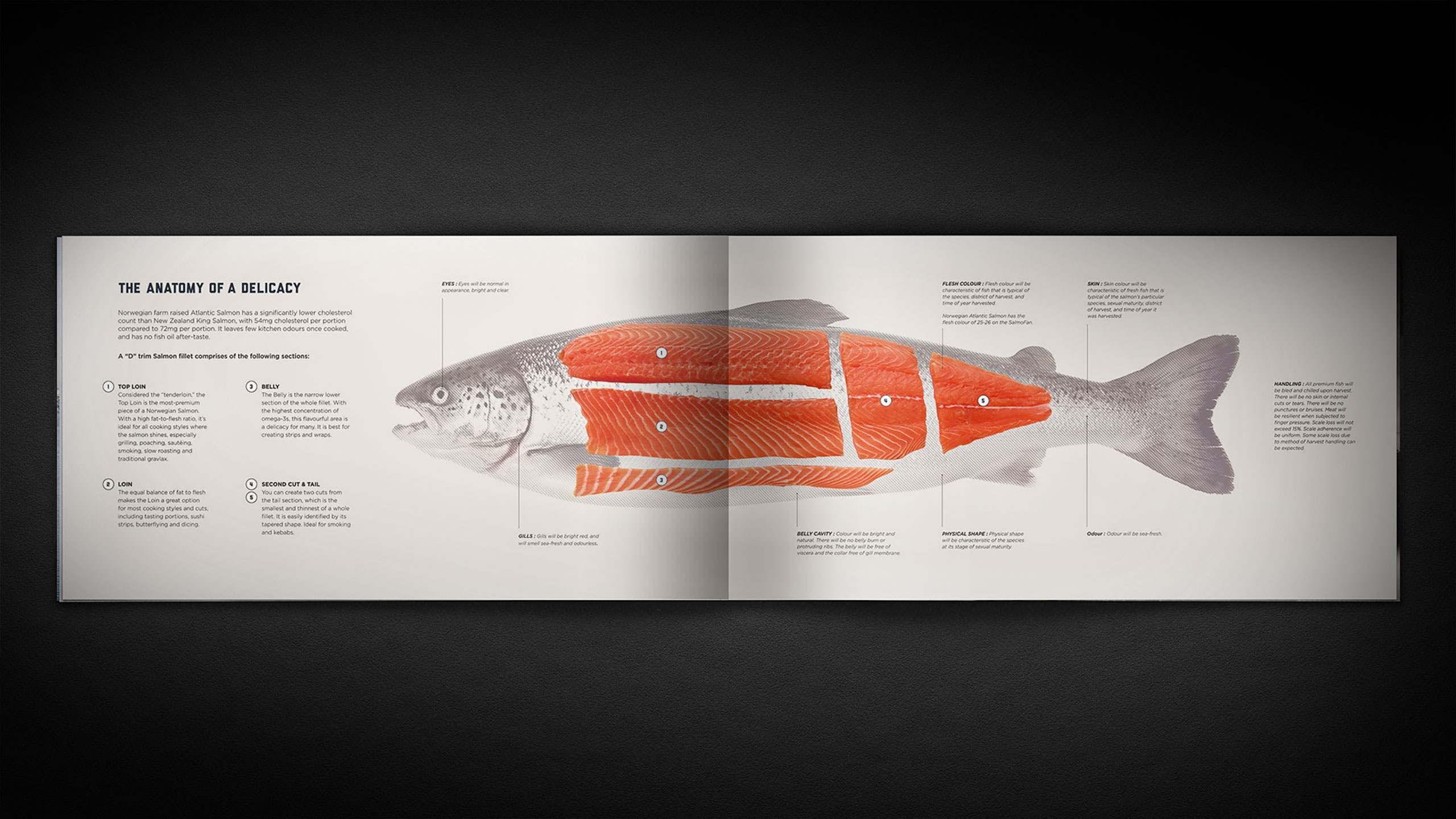 Tried-and-True-Design-Auckland-United-Fish-Co-rebrand-Brochure-7