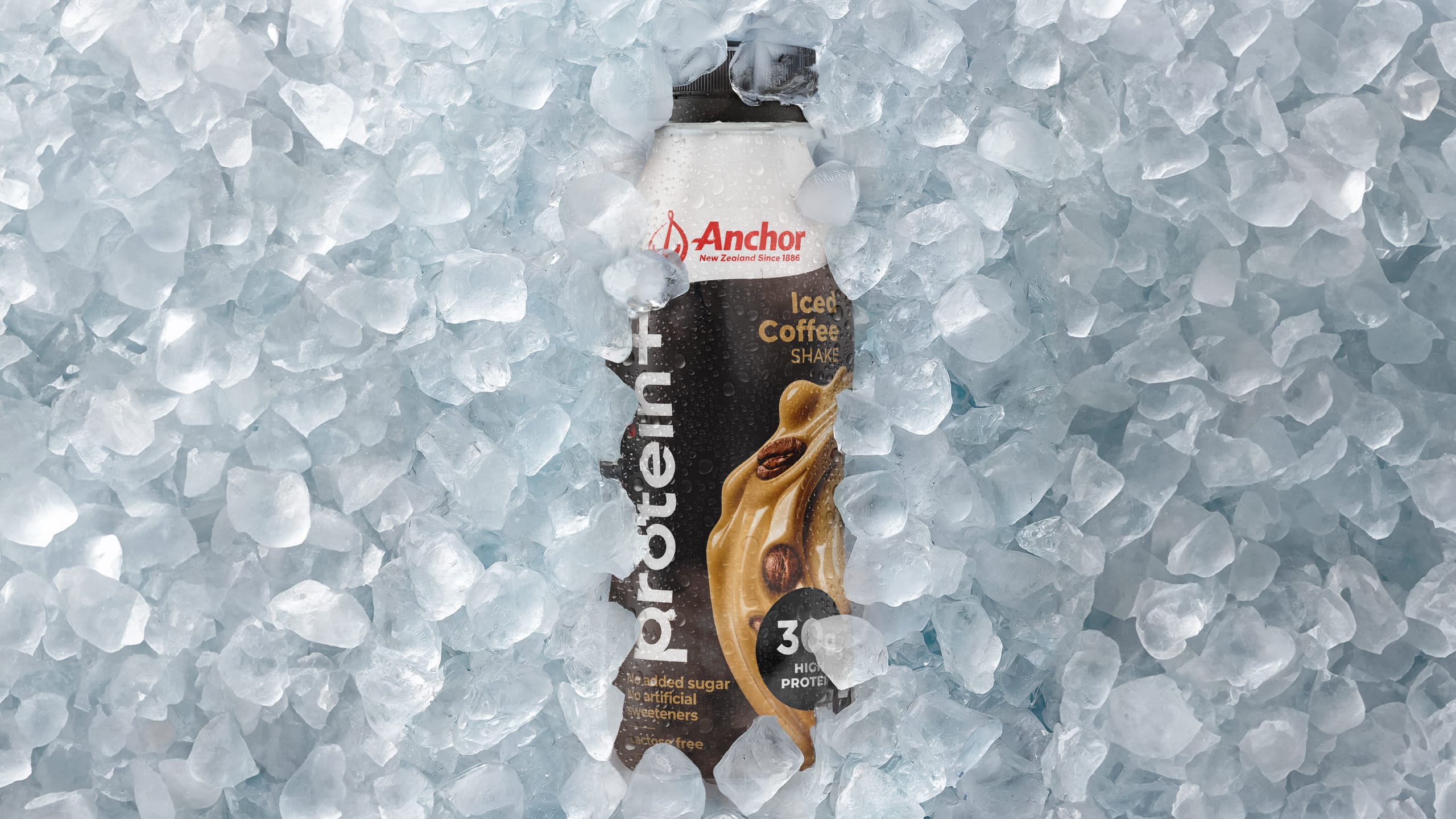 Tried-and-True-design---Case-Study---Protein+-New2