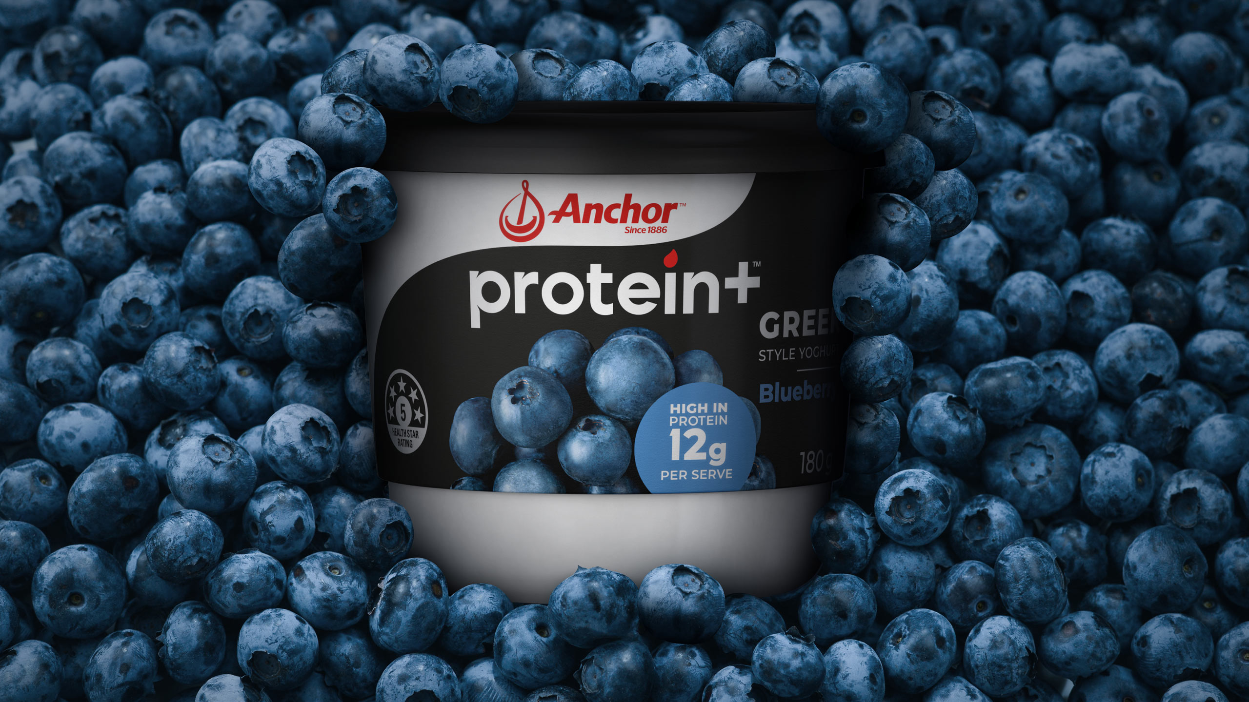 Tried-and-True-Design-Anchor-Protein-Blueberry