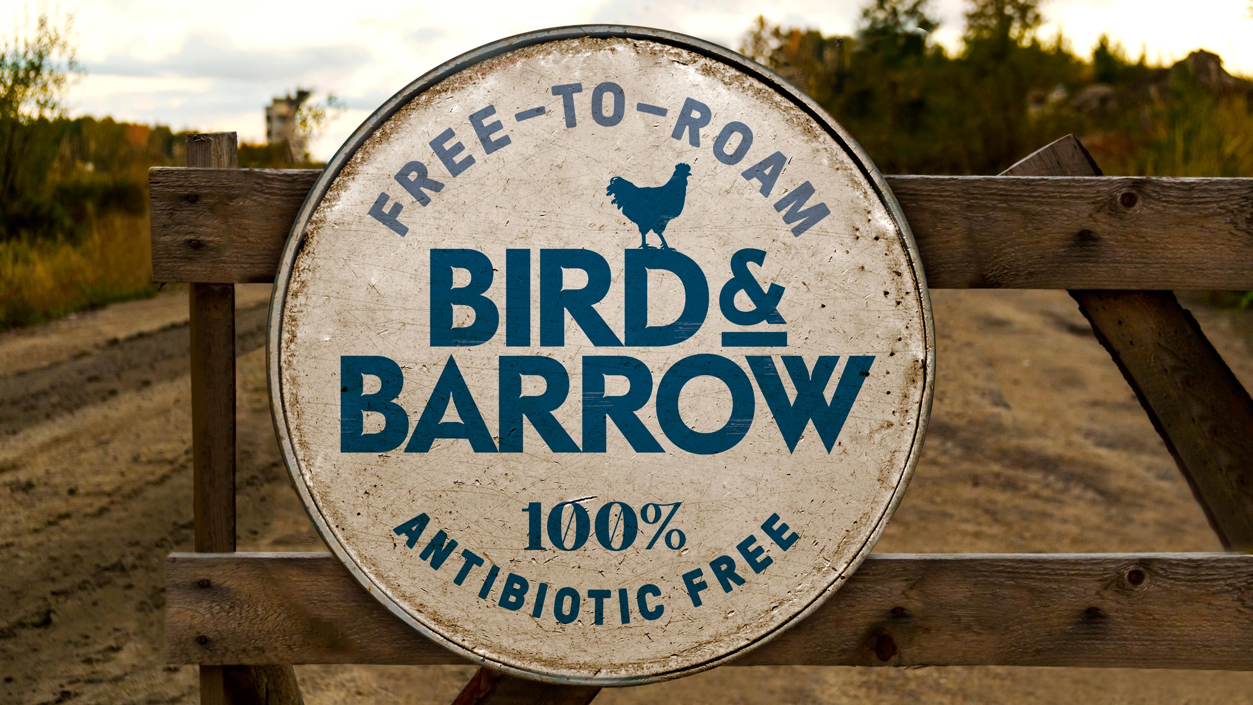 Tried-and-True-Design-Auckland-Bird&Barrow-21