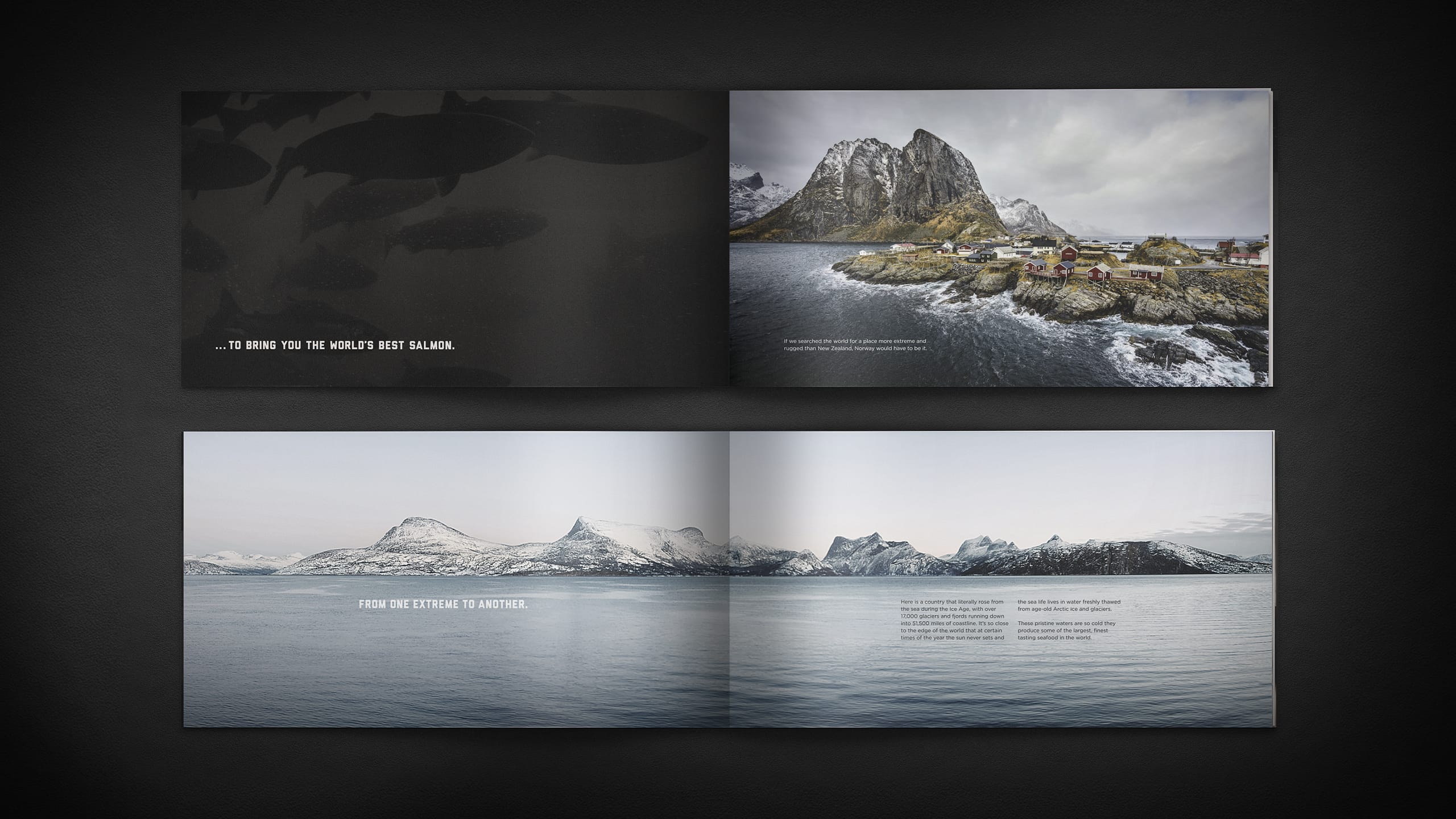 Tried-and-True-Design-Auckland-United-Fish-Co-rebrand-Brochure-1