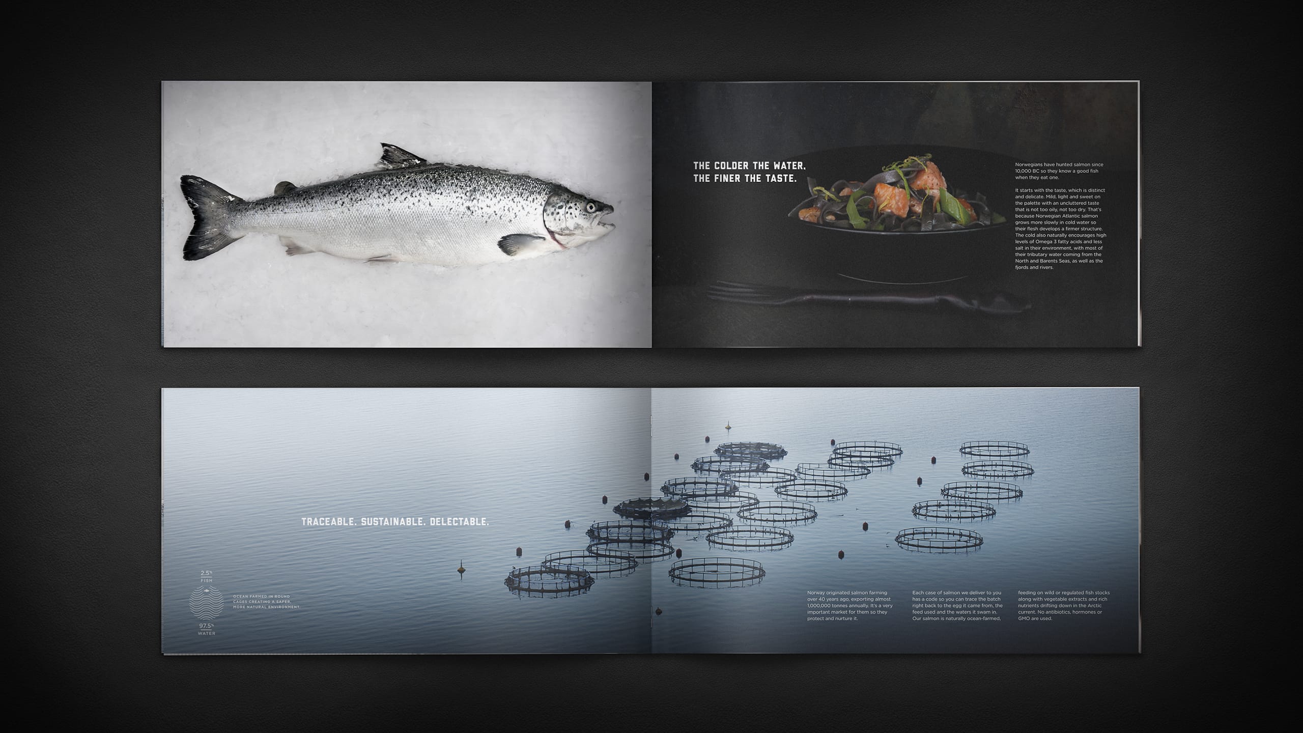 Tried-and-True-Design-Auckland-United-Fish-Co-rebrand-Brochure-2