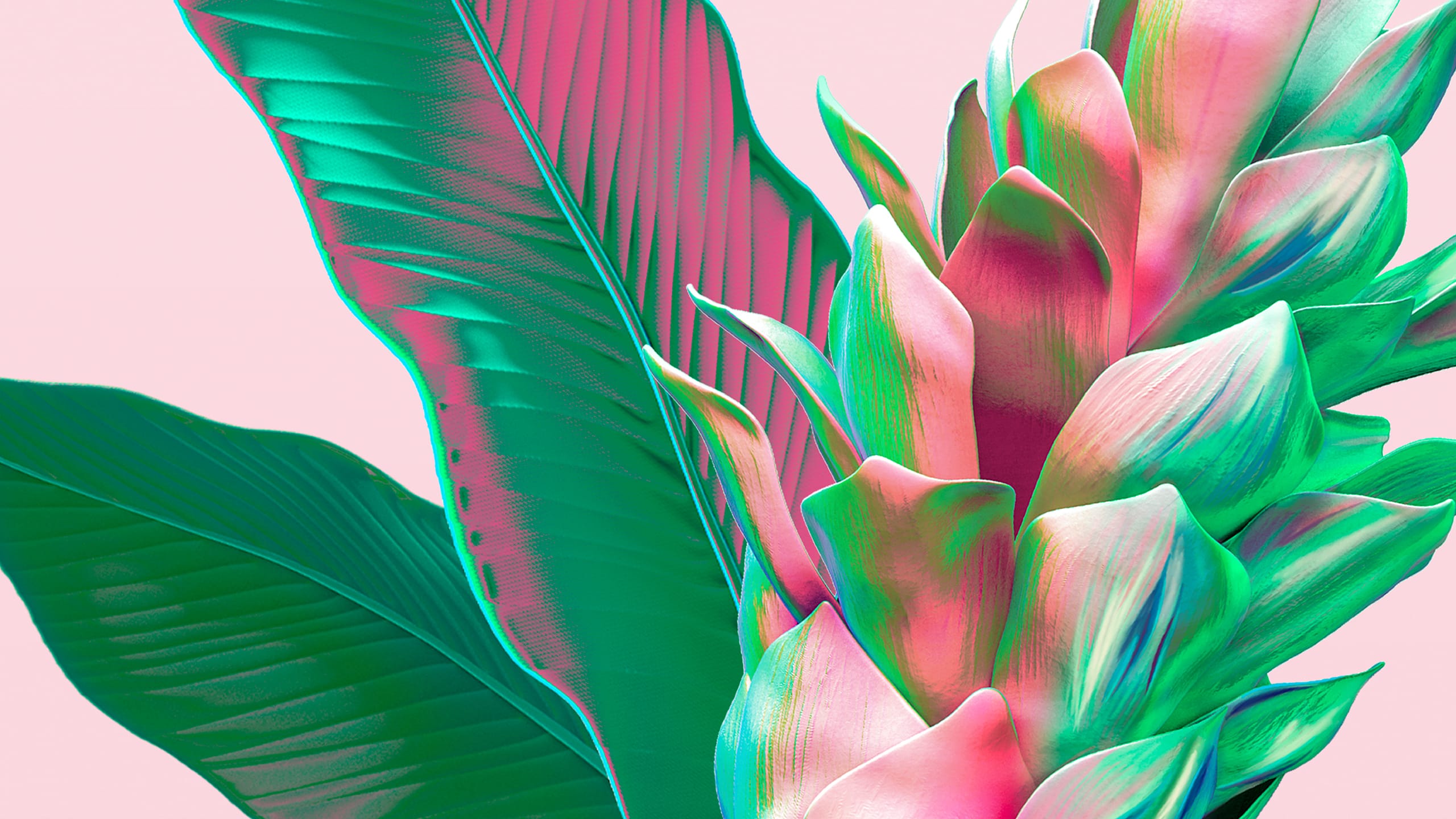 T&T-Web---Case-Study---Floresent-Gin-V25