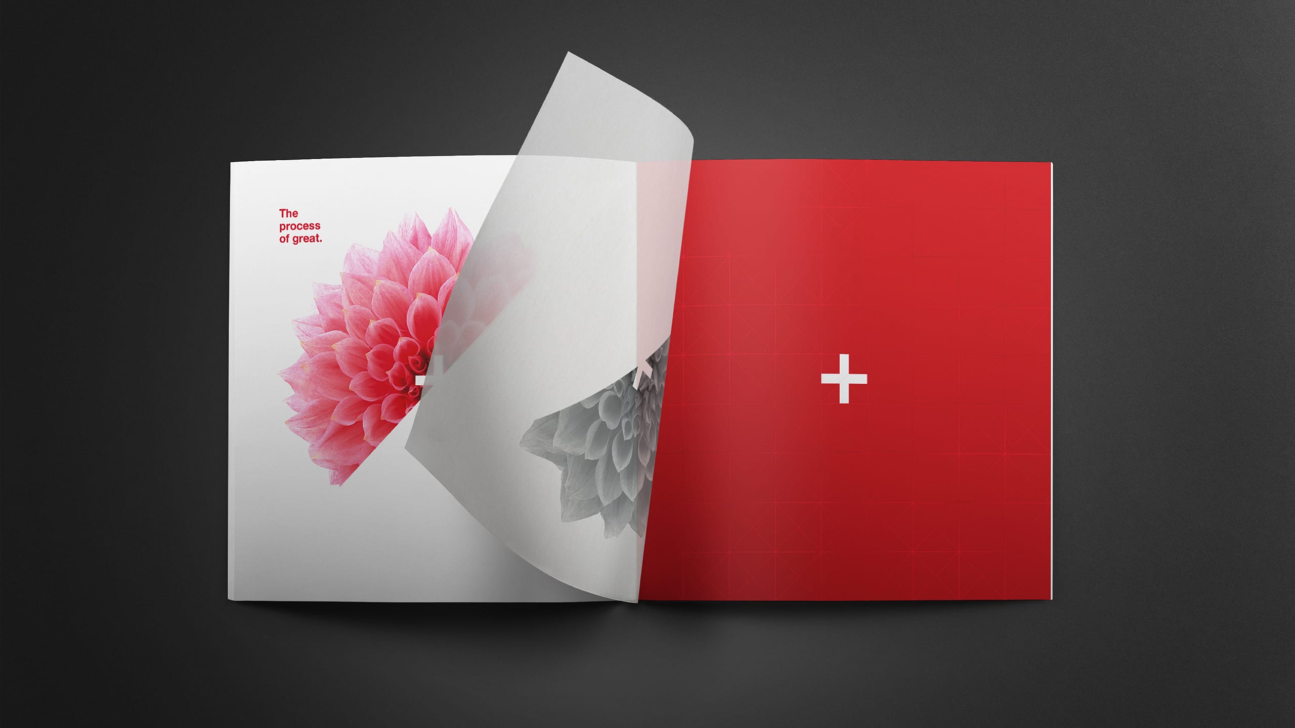 Tried-and-True-Design-Auckland-Kirk-Group-profile