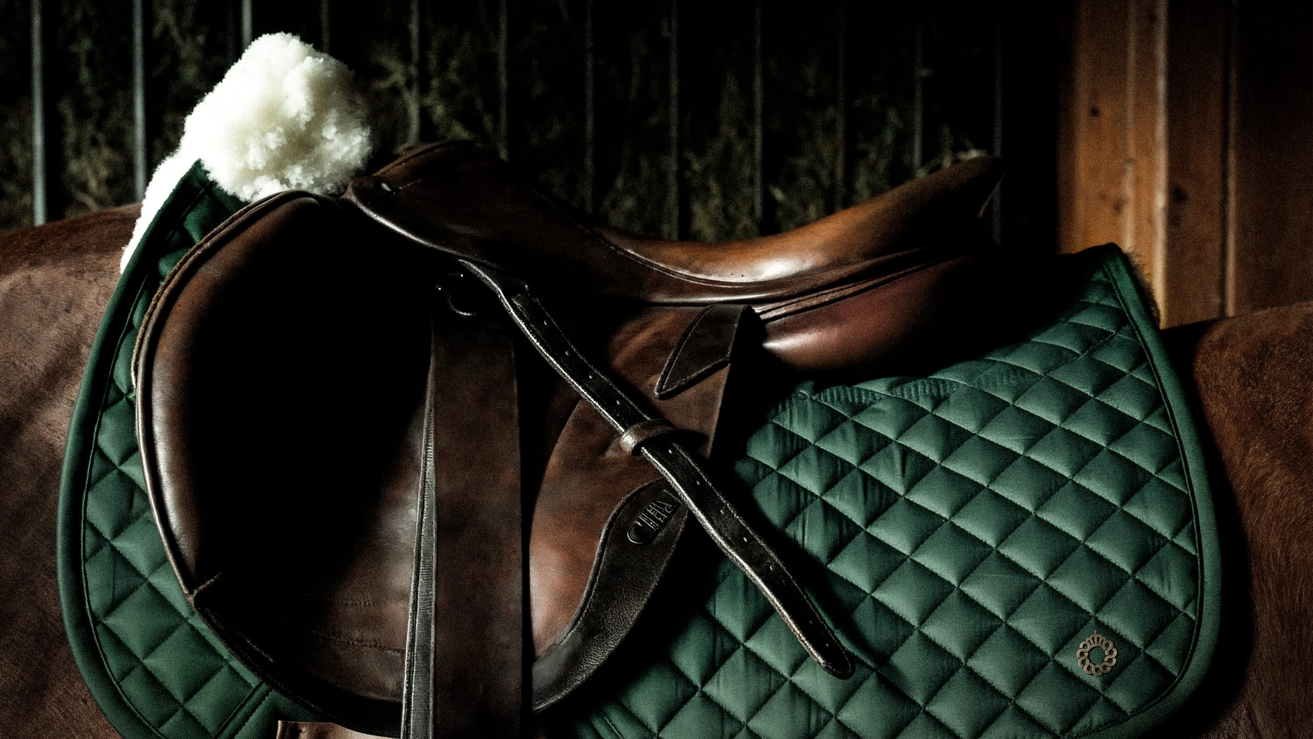 T&T-Web---Case-Study---Kingmakers-9