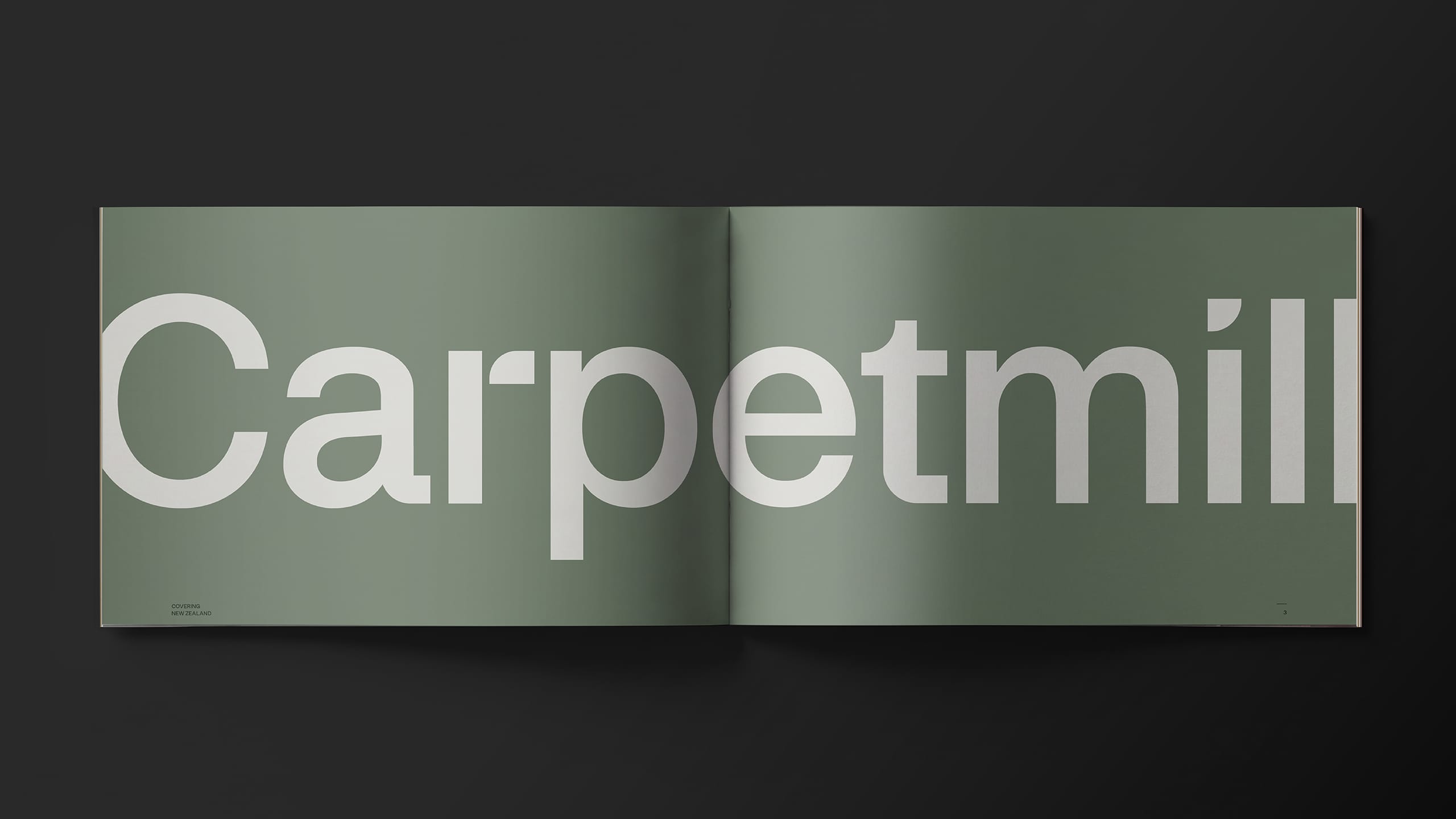 T&T Web - Case Study - CarpetMill11